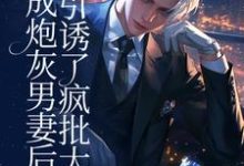 穿成炮灰男妻后，引诱了疯批大佬最新章节，穿成炮灰男妻后，引诱了疯批大佬免费阅读-艾米文学