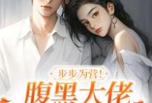 步步为营!腹黑大佬撩宠野玫瑰小说无弹窗阅读的网站推荐-艾米文学