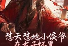 怼天怼地小侯爷在太子怀里装柔弱这本小说在哪里可以看?哪里有免费试读章节?-艾米文学