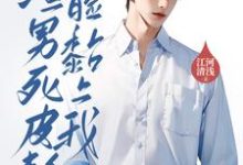 离婚后,渣男死皮赖脸黏上我小说的最新章节在哪里更新?免费追踪阅读-艾米文学