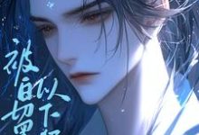 免费看被白切黑娘子以下犯上了小说的网站有哪些？-艾米文学