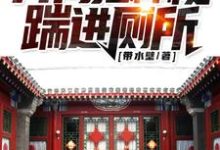 《穿到四合院，我战斗力太强》完整版小说免费阅读-艾米文学