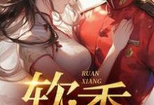 寻找能够免费阅读不是大哥，你兜这大一圈就为娶我小说的平台-艾米文学