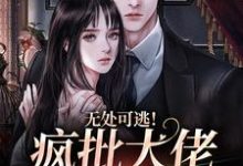 无处可逃!疯批大佬强制爱小说无弹窗阅读的网站推荐-艾米文学