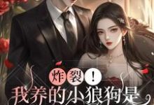 已完结小说《炸裂！我养的小狼狗是豪门继承人》章节在线阅读-艾米文学