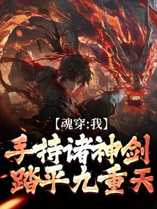在线寻找魂穿：我手持诸神剑，踏平九重天小说的无删减版本