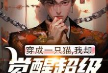 《穿成一只猫,我却觉醒超级军工系统》小说章节在线试读,《穿成一只猫,我却觉醒超级军工系统》最新章节目录-艾米文学