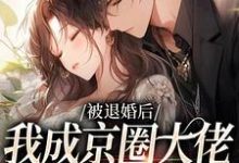 被退婚后，我成京圈大佬的白月光小说的无弹窗阅读体验，寻找免费阅读网站-艾米文学