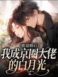 寻找被退婚后，我成京圈大佬的白月光小说的最新更新章节