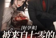 丁滢陆正宇小说完整版《好孕来：被来自七零的军少宠爆了》免费阅读-艾米文学