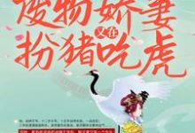 《战王接嫁：废物娇妻又在扮猪吃虎》席然阎恒完整版小说免费阅读-艾米文学