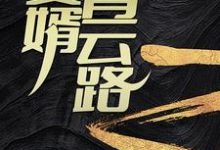 赘婿青云路完整版小说免费阅读，赘婿青云路小说-艾米文学