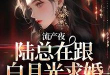 许书意陆承胤小说《流产夜，陆总在跟白月光求婚，我不干了》在线阅读-艾米文学