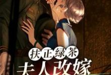 扶正绿茶？夫人改嫁少帅你哭什么傅安安小说在线章节目录阅读最新章节-艾米文学