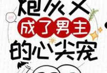 《快穿:炮灰又成了男主的心尖宠》全集免费在线阅读(沈凝顾景行)-艾米文学