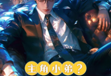 主角小弟？我只会忽悠大嫂！免费阅读，主角小弟？我只会忽悠大嫂！张小龙-艾米文学