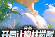 穿越：开局让傻柱觉醒，不做舔狗最新章节，穿越：开局让傻柱觉醒，不做舔狗免费阅读-艾米文学