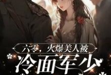 姜辛夷沈默小说《六零美人有点辣，冷面军少夜夜哄》完整版免费阅读-艾米文学
