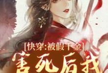 《快穿：被假千金害死后我无限闯关》云舒小说免费阅读完整版-艾米文学