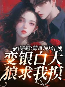 《穿越：帅哥现场变银白大狼求我摸》纾云小说免费阅读完整版