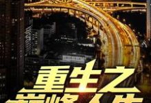 重生之巅峰人生完整版小说，重生之巅峰人生最新章节-艾米文学