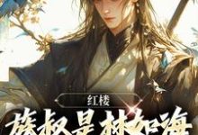 红楼：族叔是林如海，在线当大佬小说的免费阅读版本在哪里可以找到？-艾米文学