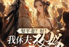 求娶平妻?好!我休夫改嫁王爷给你看小说的全文免费阅读链接-艾米文学