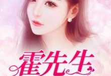 求霍先生,离婚吧小说的全文免费阅读链接-艾米文学
