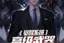 苏勇小说《觉醒系统:高级武器就是买买买》完整版免费阅读-艾米文学