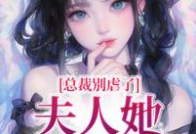 小说《总裁别虐了,夫人她不要你了》章节免费阅读-艾米文学