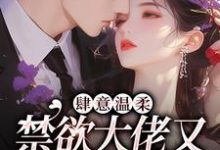 肆意温柔，禁欲大佬又在偷吻孕妻免费阅读，肆意温柔，禁欲大佬又在偷吻孕妻章节目录-艾米文学