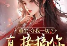 重生：夺我一切？直接搞你全府免费阅读，重生：夺我一切？直接搞你全府楚昭萧湛-艾米文学