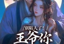 小说《别粘人了!王爷你快去宫斗》完整版章节免费阅读-艾米文学