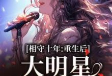 苏未晚斐宴完整版小说免费阅读-艾米文学