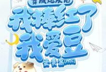 《穿成炮灰后我捧红了我爱豆》苏栗栗陆煜完整版小说免费阅读-艾米文学