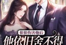 小说《狠狠伤害他后,他依旧舍不得放开我》章节免费阅读-艾米文学