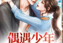 在线免费阅读偶遇少年,我春心萌动完整小说-艾米文学