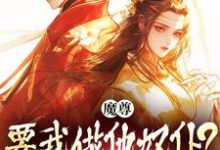 已完结小说《魔尊要我做他奴仆?衣服给他炸了!》最新章节-艾米文学