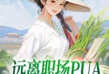 远离职场PUA,我决定回家赶海免费阅读,远离职场PUA,我决定回家赶海章节目录-艾米文学