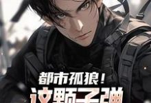完结版《都市孤狼!这颗子弹为何如此狂野》章节目录在线阅读-艾米文学
