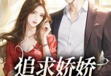 追求娇娇只需一颗糖小说的免费电子版在哪里可以下载或阅读？-艾米文学