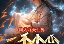 小说《闯入九天仙界,一不小心成了仙王》章节免费阅读-艾米文学