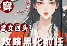 快穿:渣女回头!攻略黑化前任丛盈月小说免费阅读-艾米文学