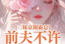 二嫁京圈霸总，前夫不许来捣乱小说的免费阅读版本在哪里可以找到？-艾米文学