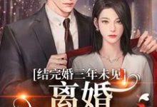 免费在线阅读结完婚三年未见，离婚他急红眼小说的正规网站有哪些？-艾米文学