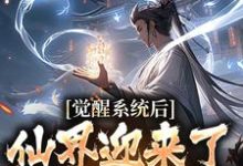 《觉醒系统后，仙界迎来了互联网时代》小说林夜章节章节免费在线阅读-艾米文学