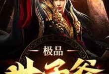 极品世子爷小说免费资源，极品世子爷在线阅读-艾米文学