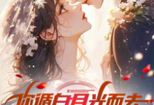 你循白月光而去,现在说后悔?这本小说在哪里可以看?哪里有免费试读章节?-艾米文学