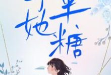 免费看予她半糖小说的网站有哪些？-艾米文学