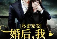 私密宠爱：婚后，我被宠上天沈诗商陆骁在线章节免费阅读-艾米文学
